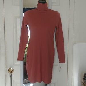 Wild Fable Ribbed Turtleneck Dress